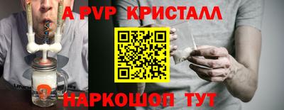 мдпв Кингисепп