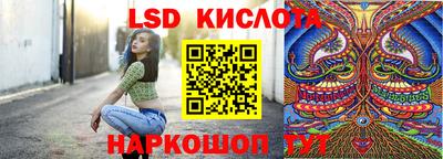 мдпв Кингисепп