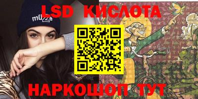 мдпв Кингисепп