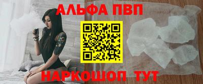 мдпв Кингисепп