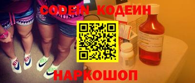 мдпв Кингисепп