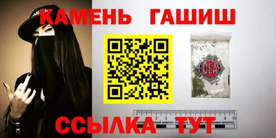 мдпв Кингисепп