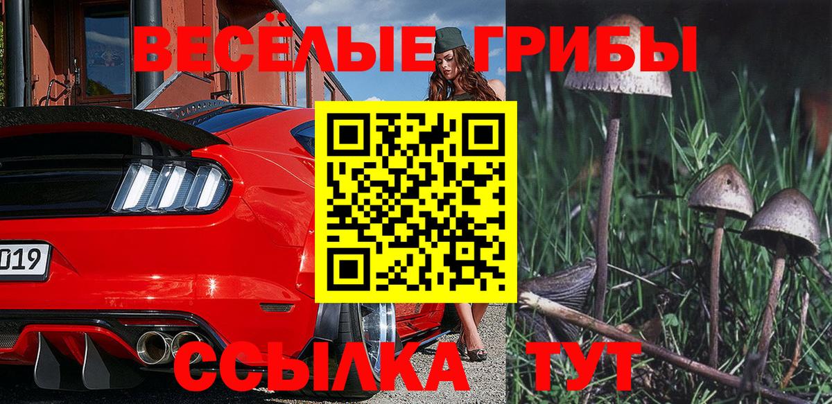 Галлюциногенные грибы Magic Shrooms  Псилоцибиновые грибы Psilocybe  Вход с VPN  что такое   Тимашёвск 