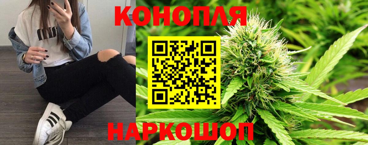 Бошки марихуана конопля Тимашёвск